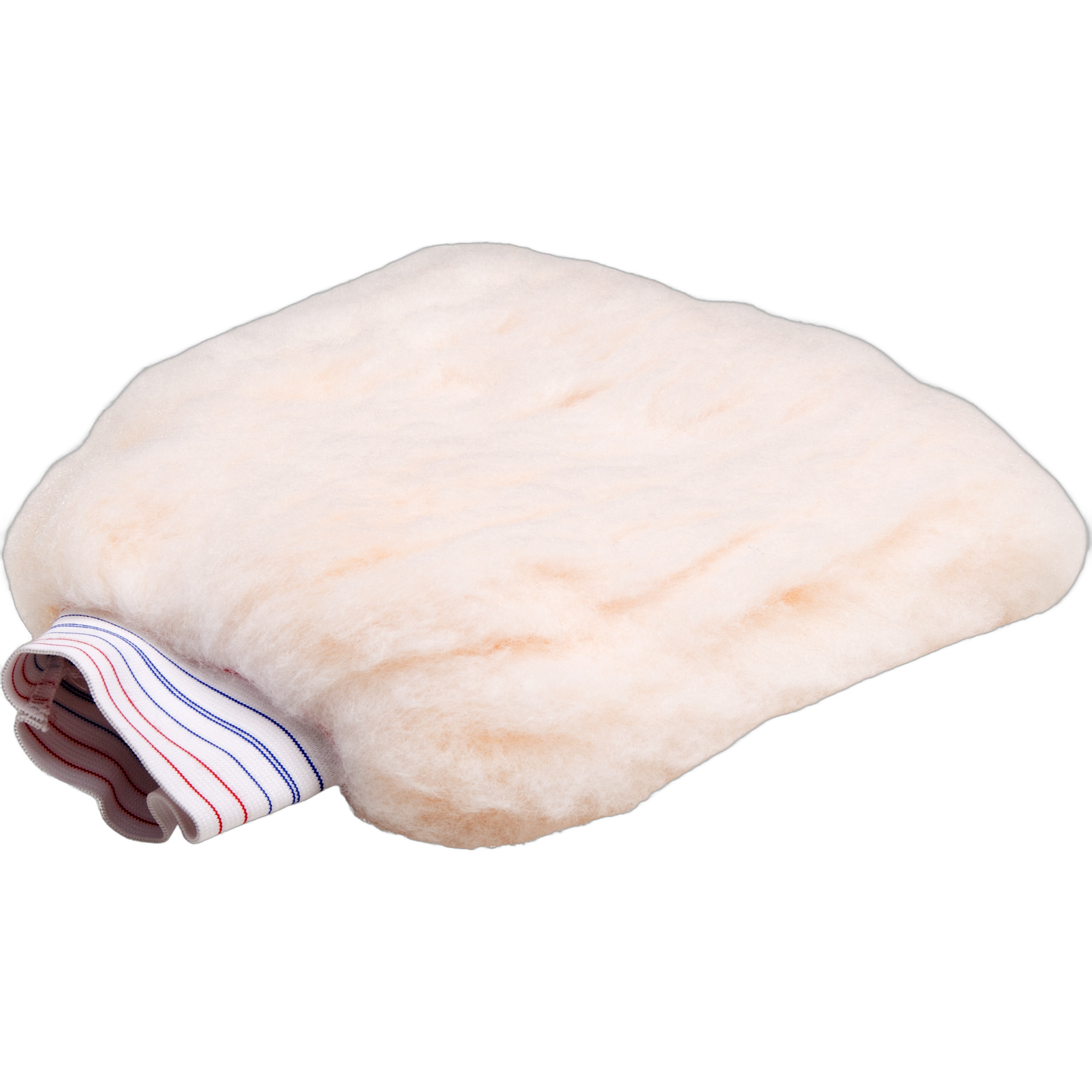 Professional Wash Mitt