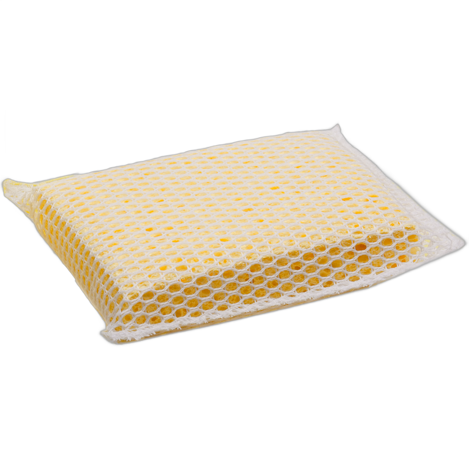 SM Arnold Profess. Bug Sponge