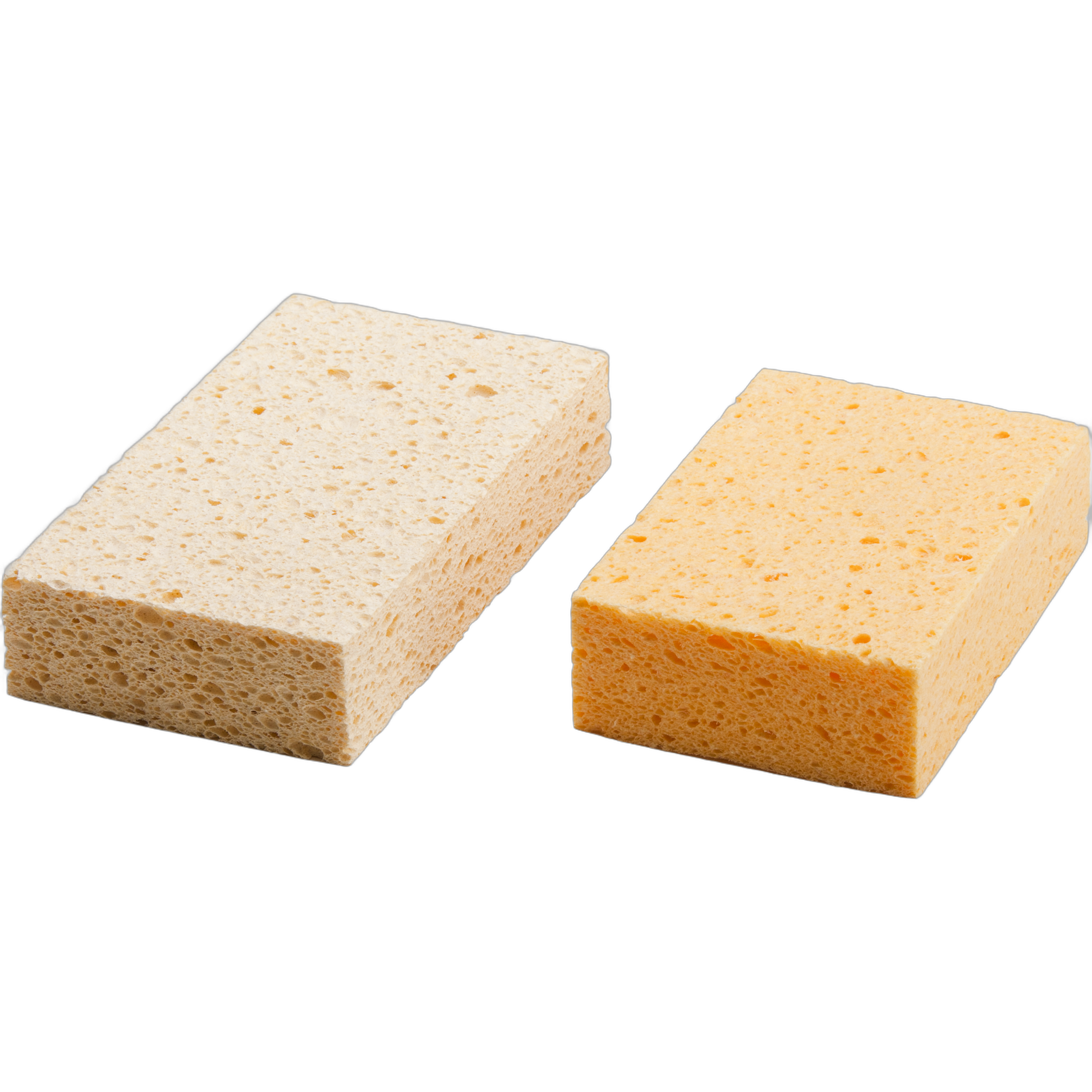 SM Arnold G.P. Cllse.Sponge 2